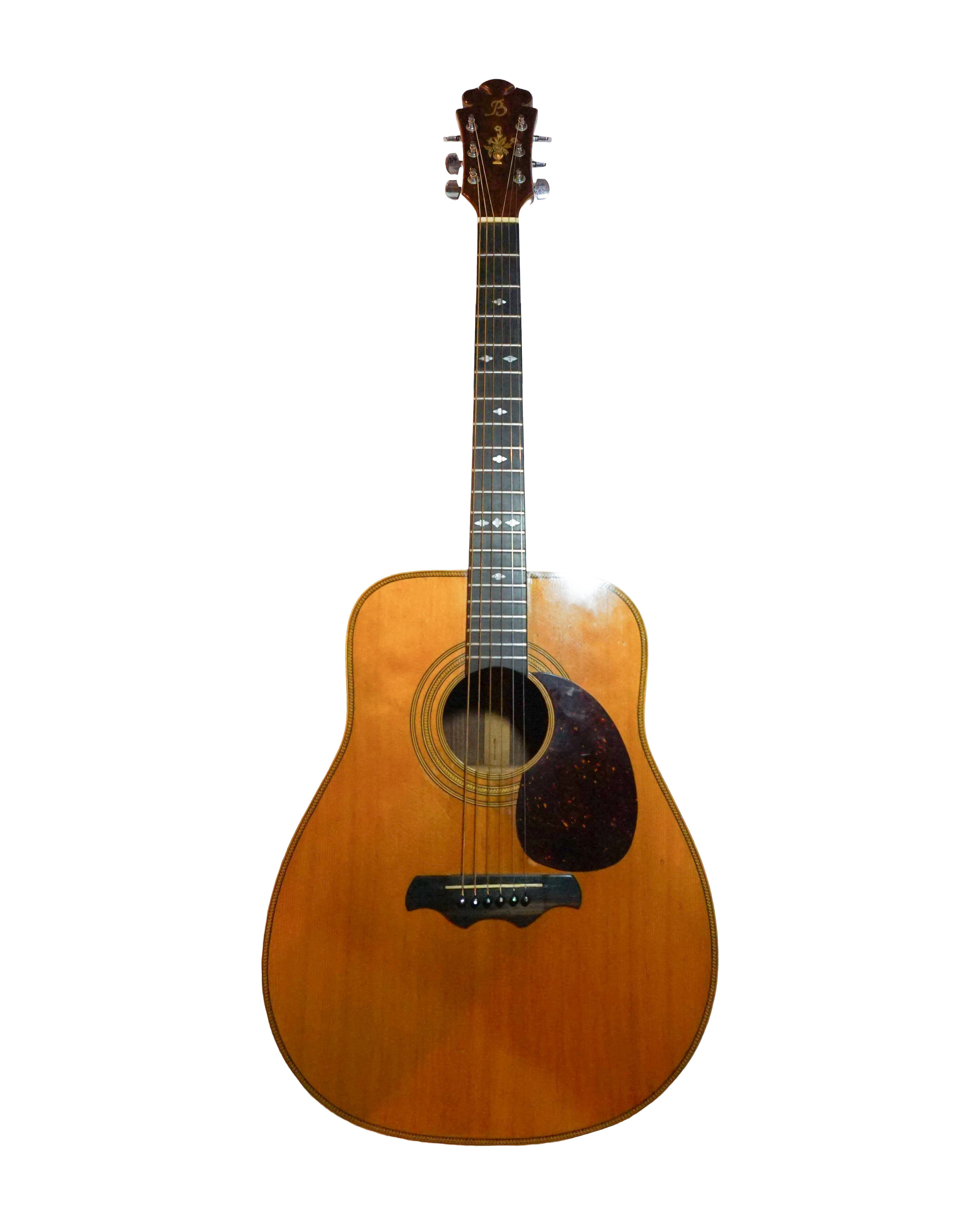 Bozo Podunavac Custom Build Acoustic