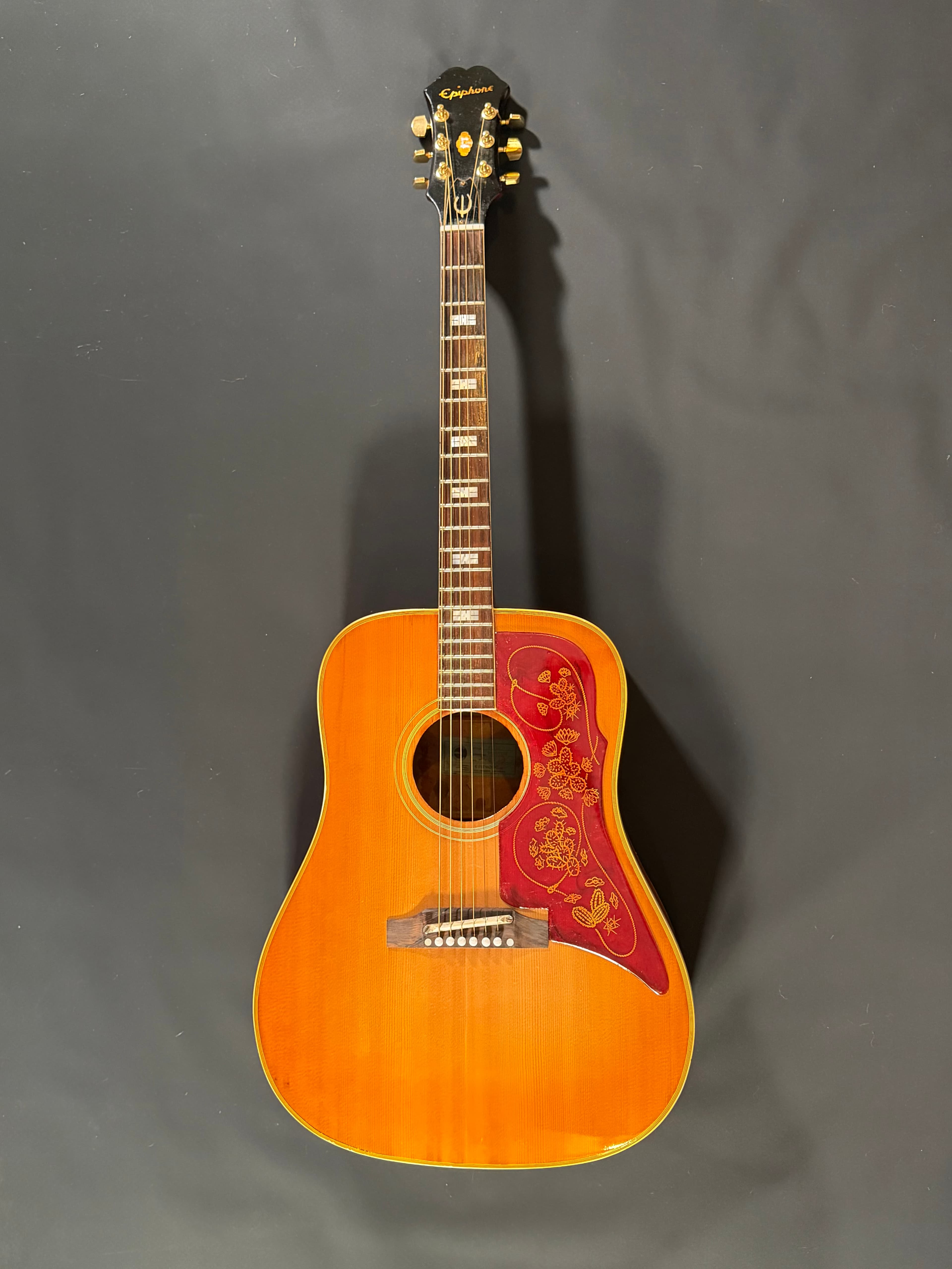 1964 Epiphone Frontier FT110